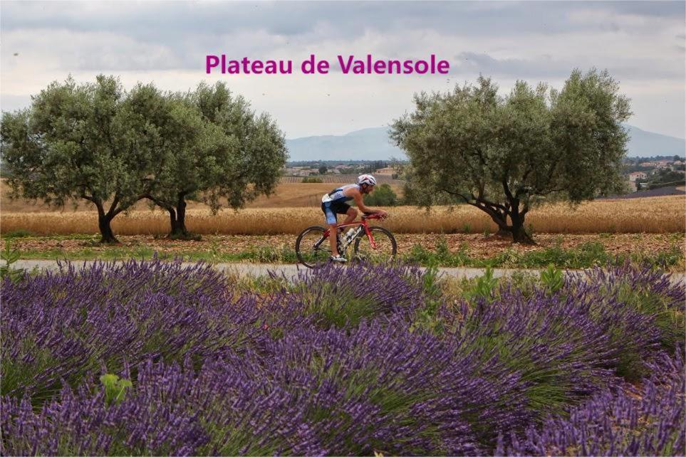 Coeur De Ville, T2, Rue Pietonne, Digne Les Bains Exterior foto